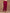trueBrowns Rani Pink Velvet Pant - Distacart