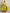 trueBrowns Lime Crinkle Anarkali Flared Kurta Set