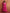 trueBrowns Red Print Flared Anarkali Kurta Set - Distacart