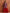 trueBrowns Rust Ajrak Print Flared Anarkali Kurta Set - Distacart