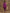 trueBrowns Purple Bandhani Printed Silk Co-Ord Set - Distacart