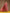 trueBrowns Blush Gold Cotton Anarkali Set - Distacart