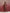trueBrowns Brown Modal Anarkali Kurta Set - Distacart