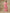 trueBrowns Light Mauve Bandhani Printed Silk Flared Kurta Pant Set - Distacart