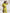 trueBrowns Lime Slub Co-ord Set