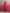 trueBrowns Pink Modal Kimono Kurta Set