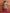 trueBrowns Yellow Print Anarkali Kurta Co-ord Set