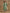 trueBrowns Light Green Bandhani Printed Silk Kurta Pant Set - Distacart