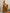 trueBrowns Gold Tissue Flared Anarkali Kurta Set