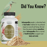 Thumbnail for Zenvista Herbs Apothecary Ashwagandha Powder - Dista