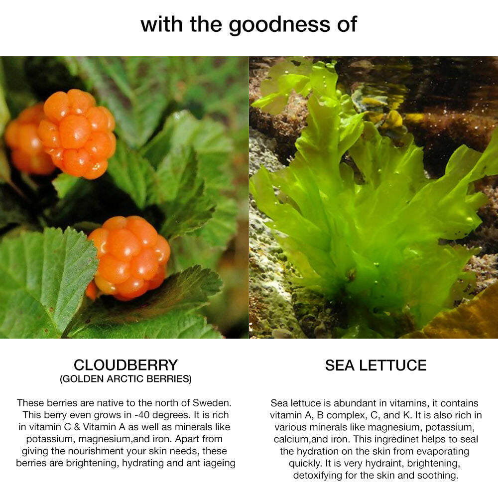 Skog Cloudberry Sea Lettuce Hydrating Cream - Distacart
