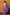 Very Much Indian Handblock Printed Cotton Saree With Natural Dyes - Purple - Distacart