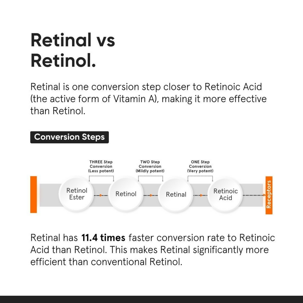 download - 2024-11-20T132057.271 (1)