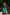 Evanik Traditional Bottle Green Poly Cotton Half Saree With Zari Weaving Work Lehenga Choli