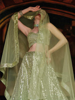 Thumbnail for Anaita Green Net Lehenga Choli With Embroidery & Sequence Work - Distacart