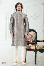 Thumbnail for Raivat Ethnic Banarasi Silk Pintux Work Kurta Pajama In Grey Colour - Distacart