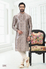 Thumbnail for Raivat Ethnic Banarasi Silk Pintux Work Kurta Pajama In Cream Grey Colour - Distacart