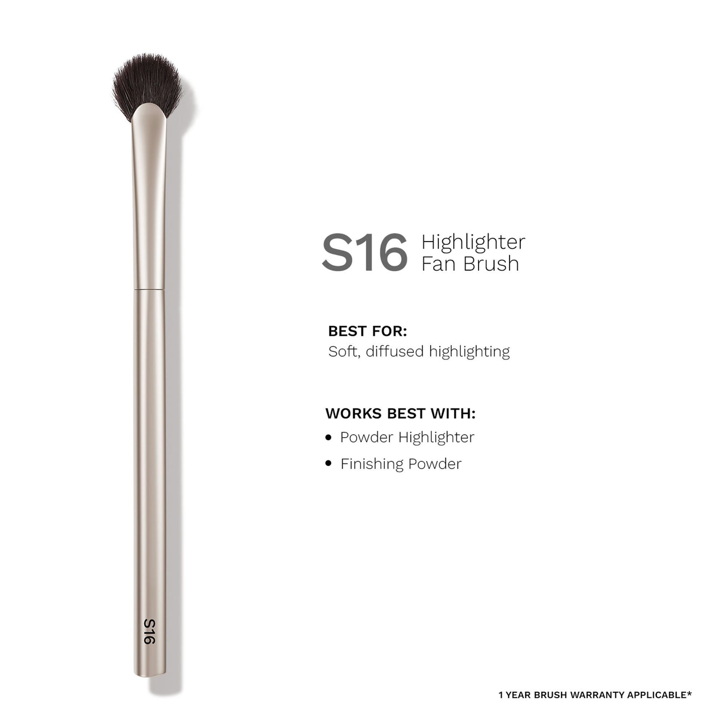 PAC S16 Highlighter Fan Brush - Feather Light Application, Ultra Soft Bristles, Even Application