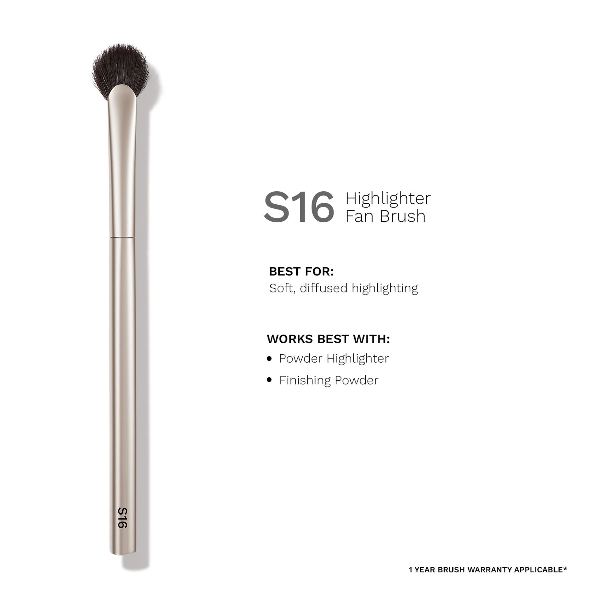 PAC S16 Highlighter Fan Brush - Feather Light Application, Ultra Soft Bristles, Even Application