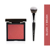 PAC Spotlight Blush and Brush Combo