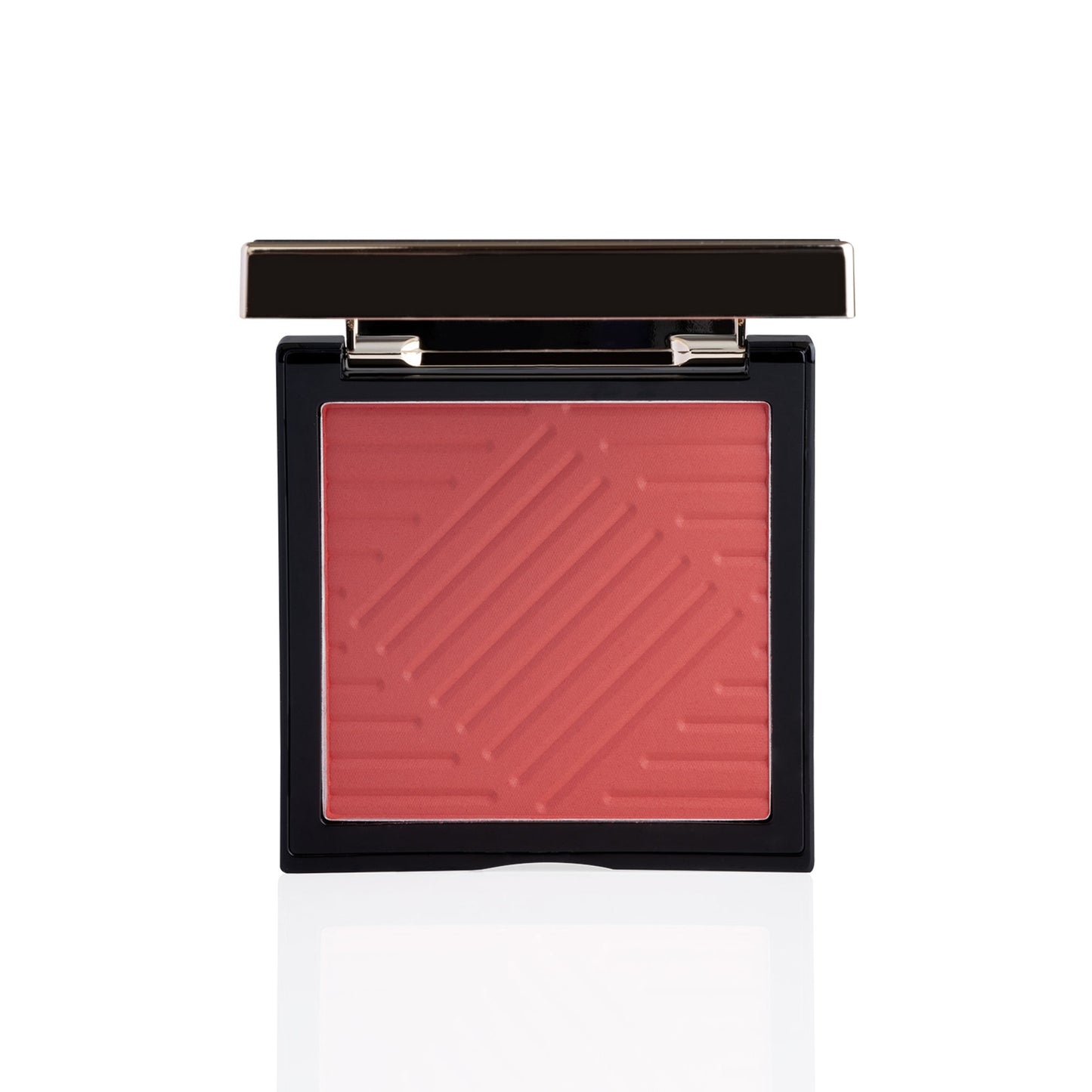 PAC Studio Spotlight Blush and Brush Combo - Distacart