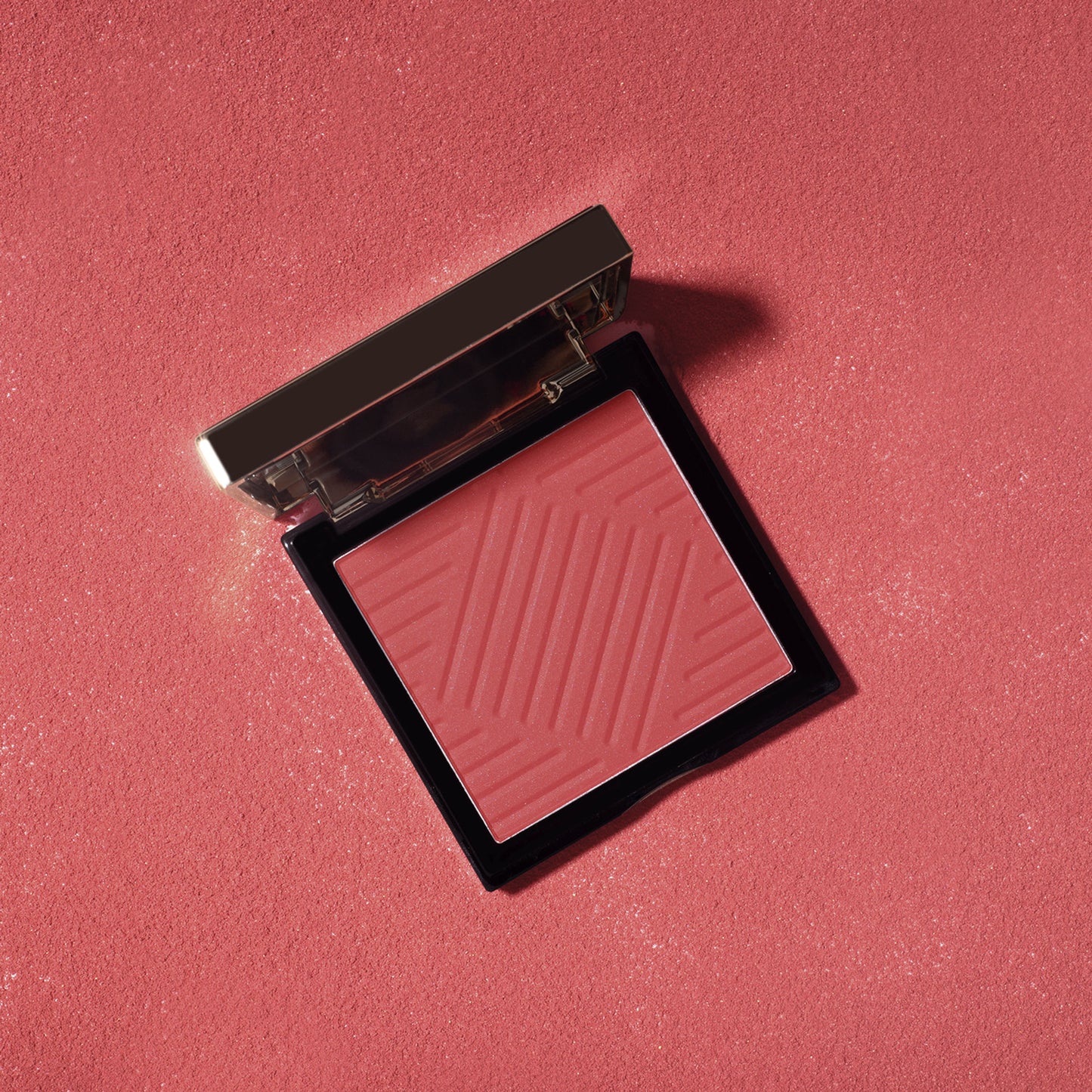 PAC Studio Spotlight Blush and Brush Combo - Distacart