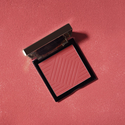 PAC Studio Spotlight Blush and Brush Combo - Distacart