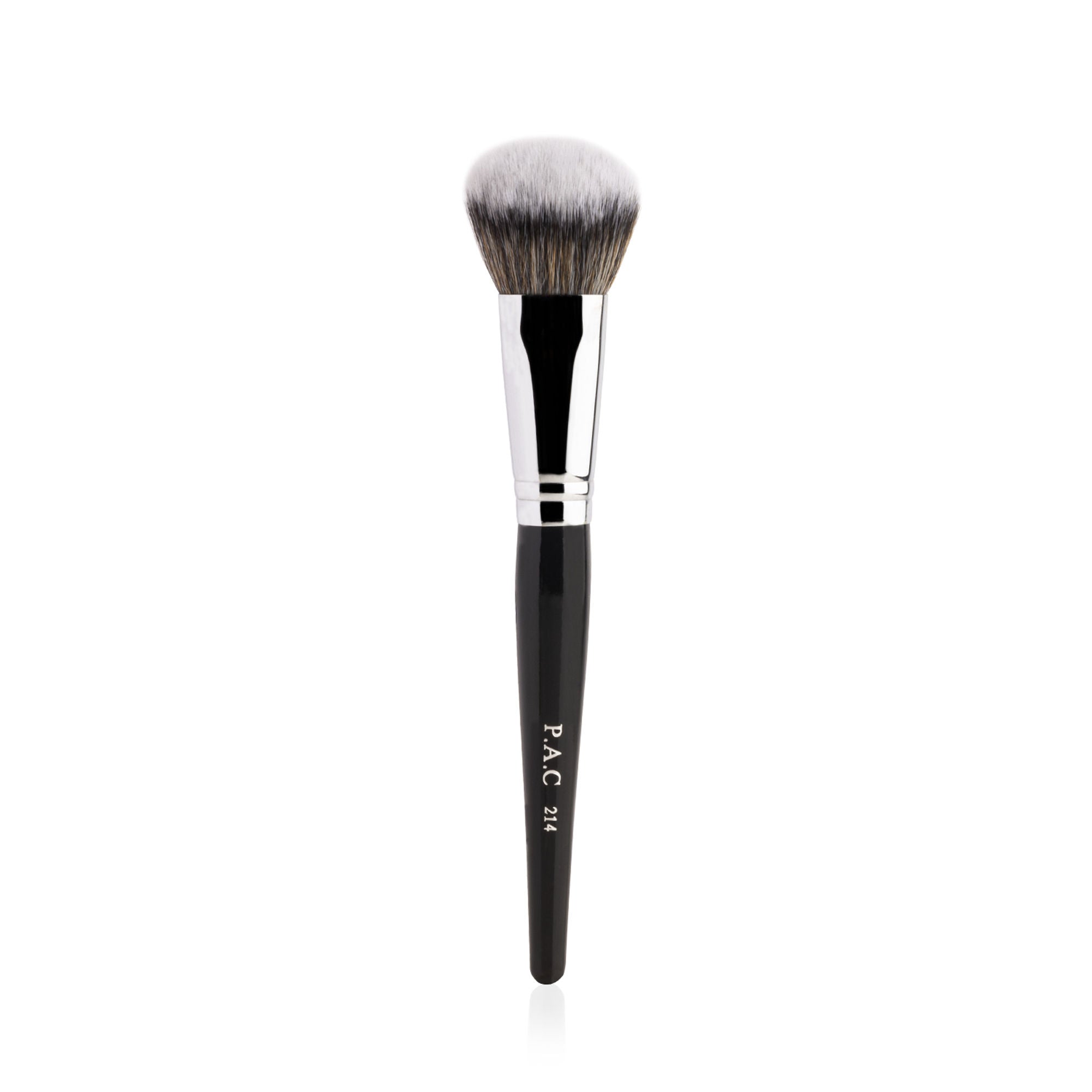 PAC Studio Spotlight Blush and Brush Combo - Distacart