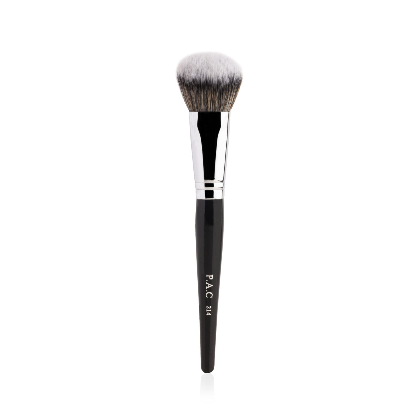 PAC Studio Spotlight Blush and Brush Combo - Distacart