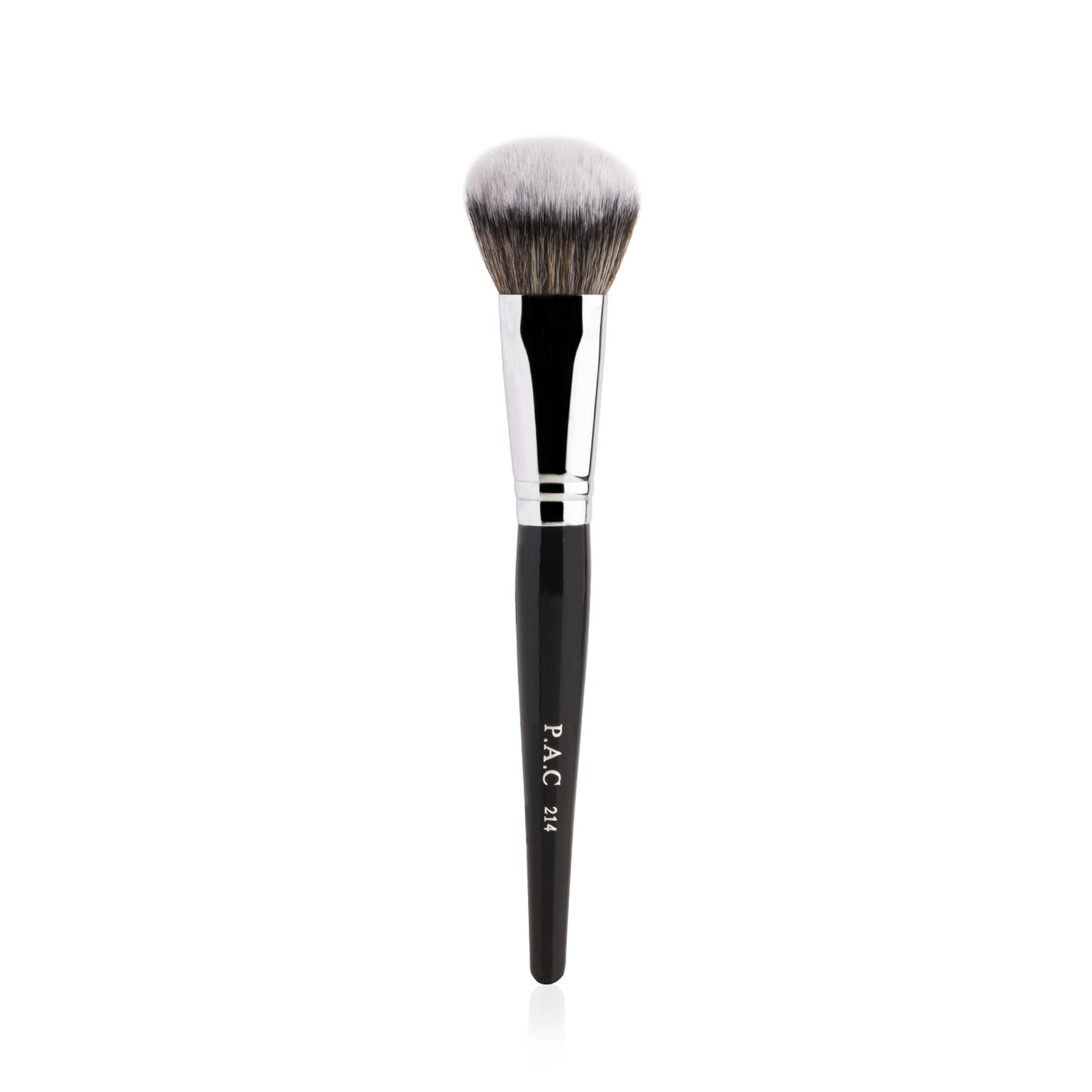 PAC Studio Spotlight Blush and Brush Combo - Distacart