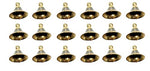 Thumbnail for https://shopify-staged-uploads.storage.googleapis.com/tmp/97615544634/files/8c9cd756-0377-4897-afff-0f417c32f707/232ddc5b783cb3d351067c9c06e5988dd44f1a69.img