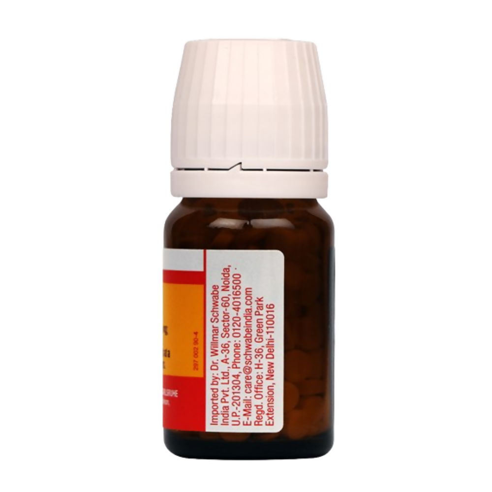 Dr. Willmar Schwabe India Germany Bio-Plasgen 20 Tablets - Distacart