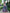 Lehenga Mart Glamorous Designer Lehenga Choli for Bridal and Bridesmaids Wedding Wear Choli - Distacart