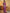 kasee Beads and Stones Pure Chiffon Saree - Distacart