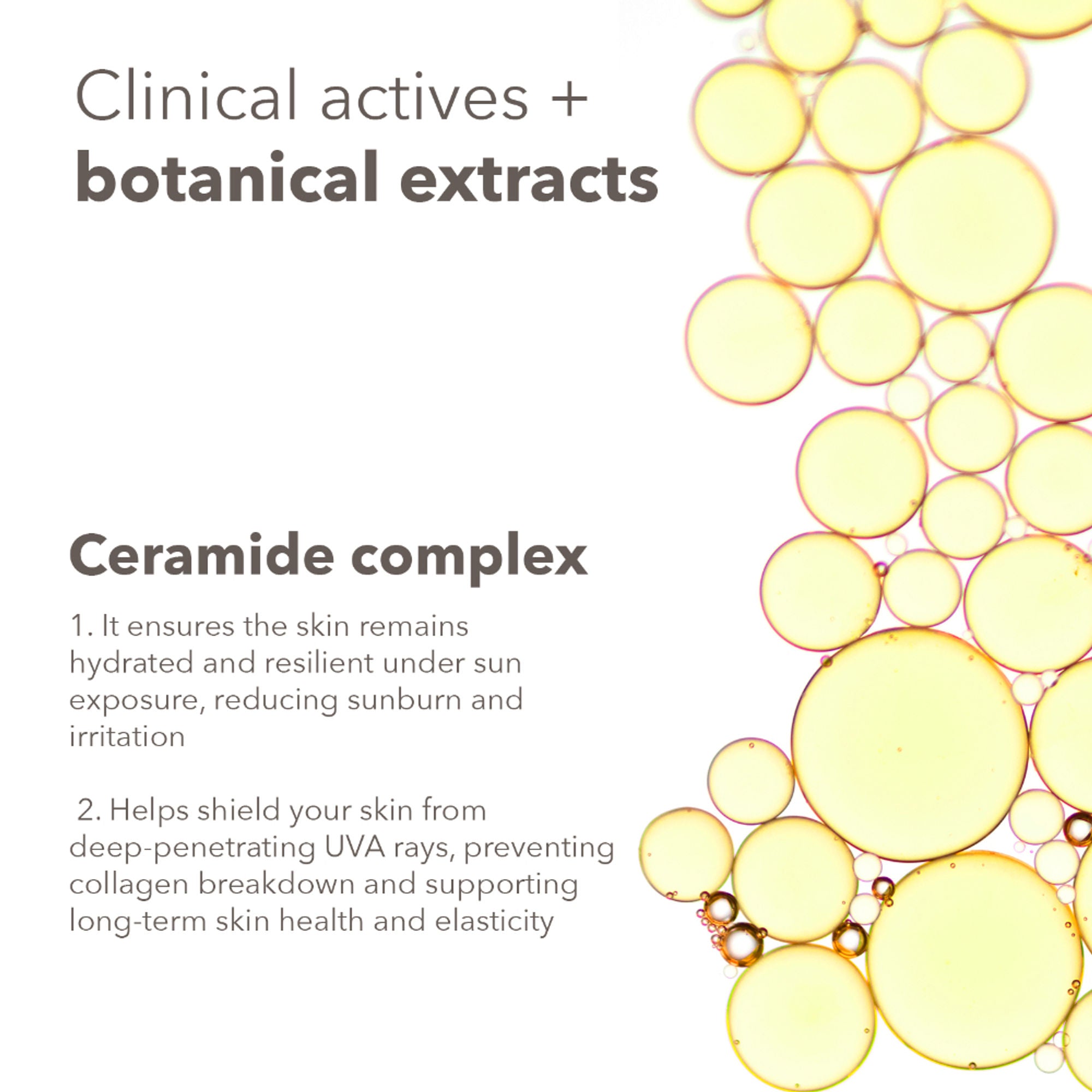 Lotus DermaBotanics 3% Vitamin C Complex + Ceramide Complex UV Aqua Sunscreen Spray SPF 50 + PA++++ additional image 6