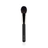 PAC Blush Brush - 302