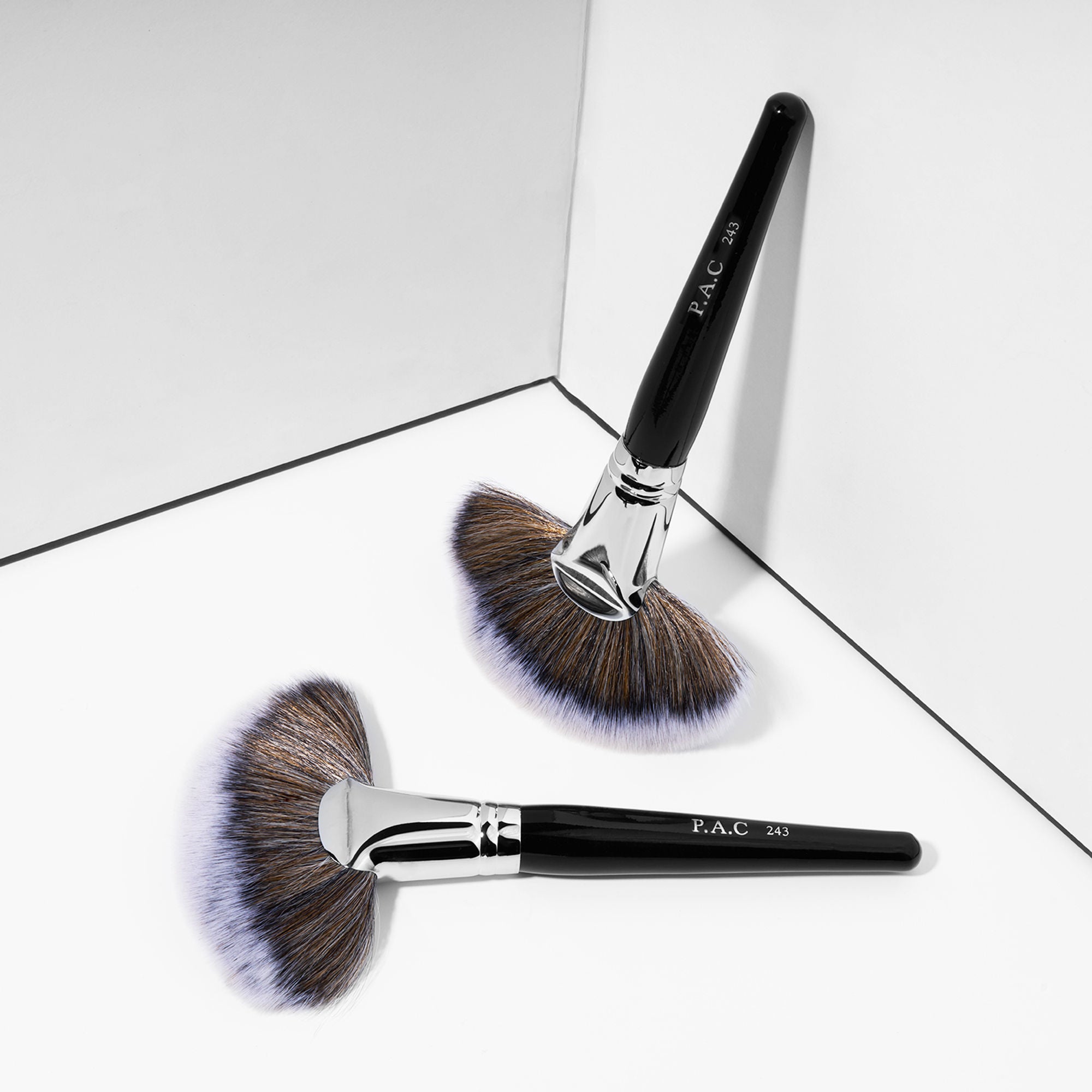 PAC Studio Fan Brush - 243 - Distacart