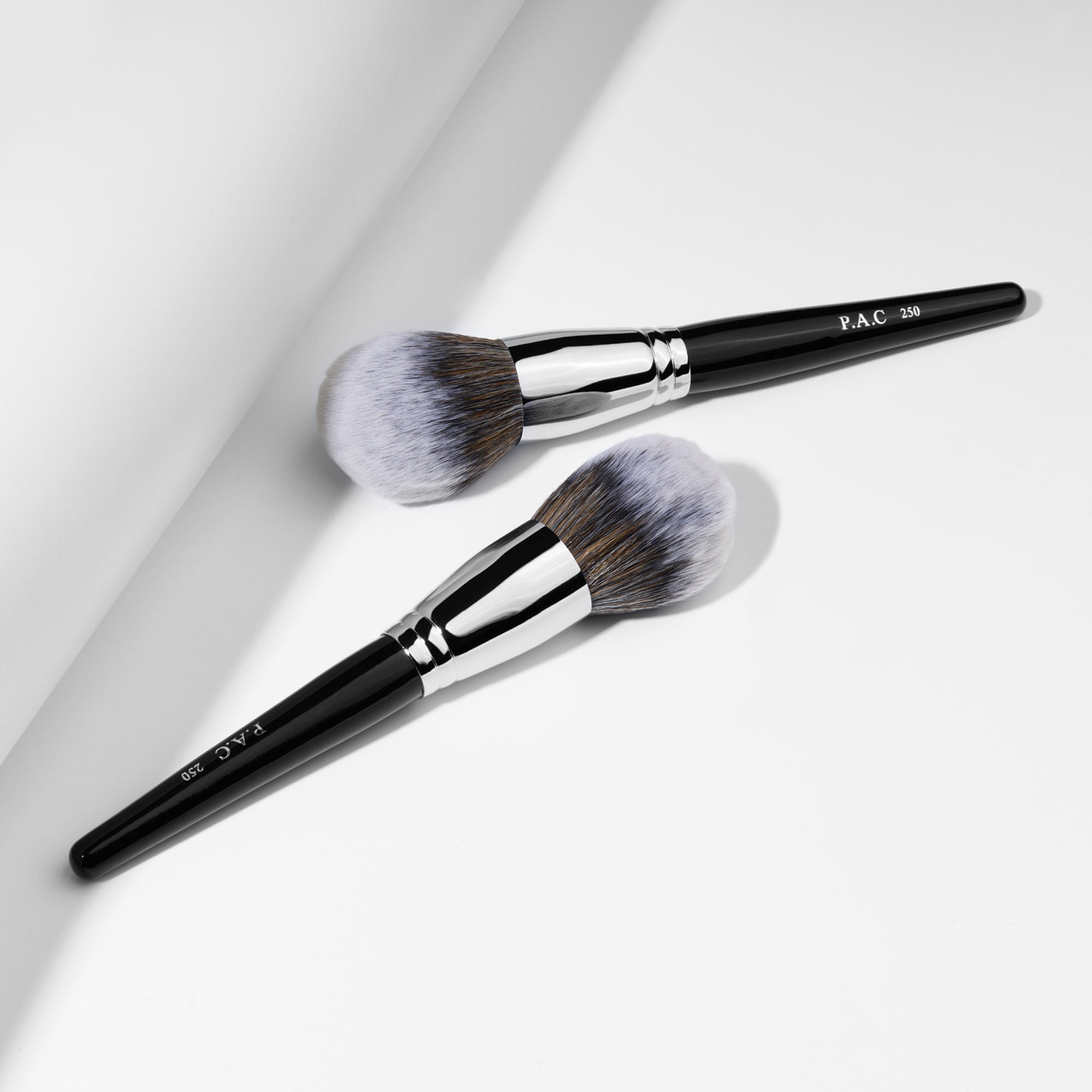 PAC Studio Powder Brush - 250 - Distacart