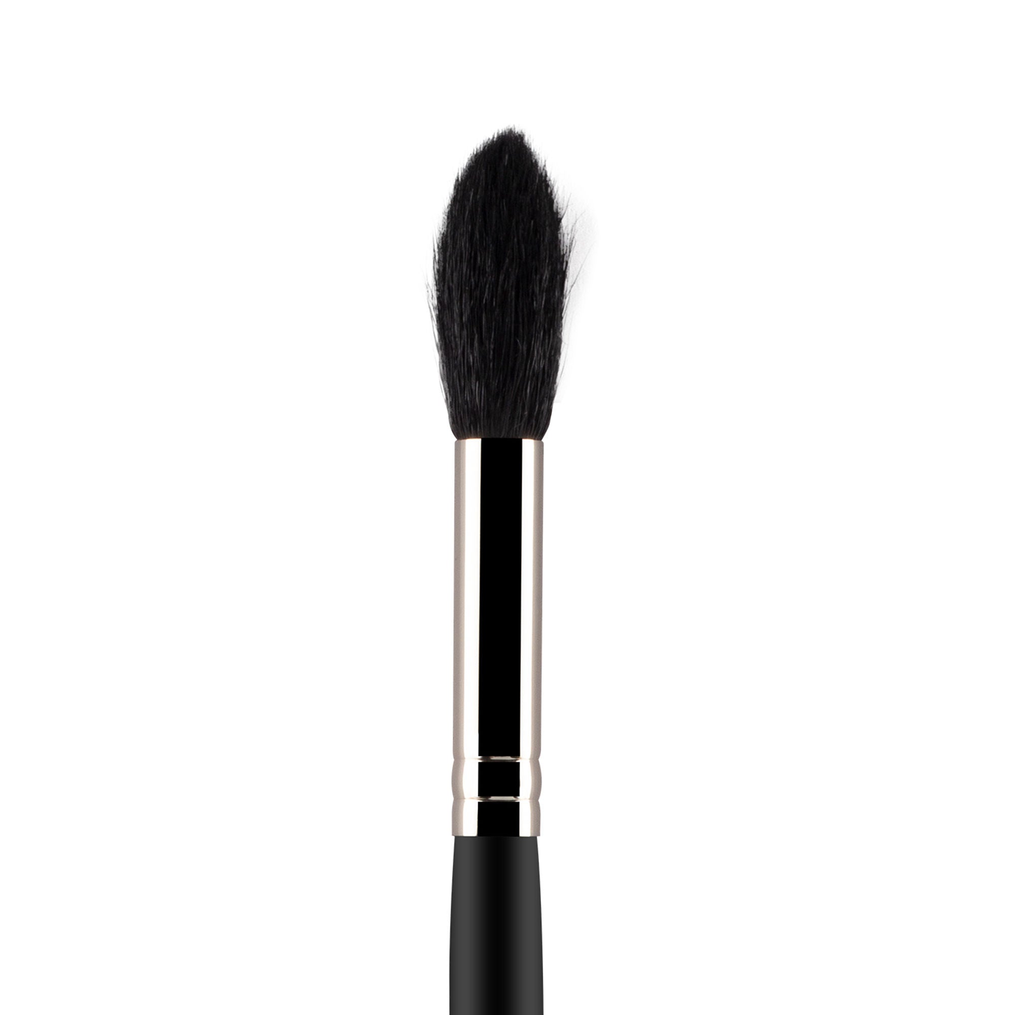 PAC Studio Powder Brush - 094
