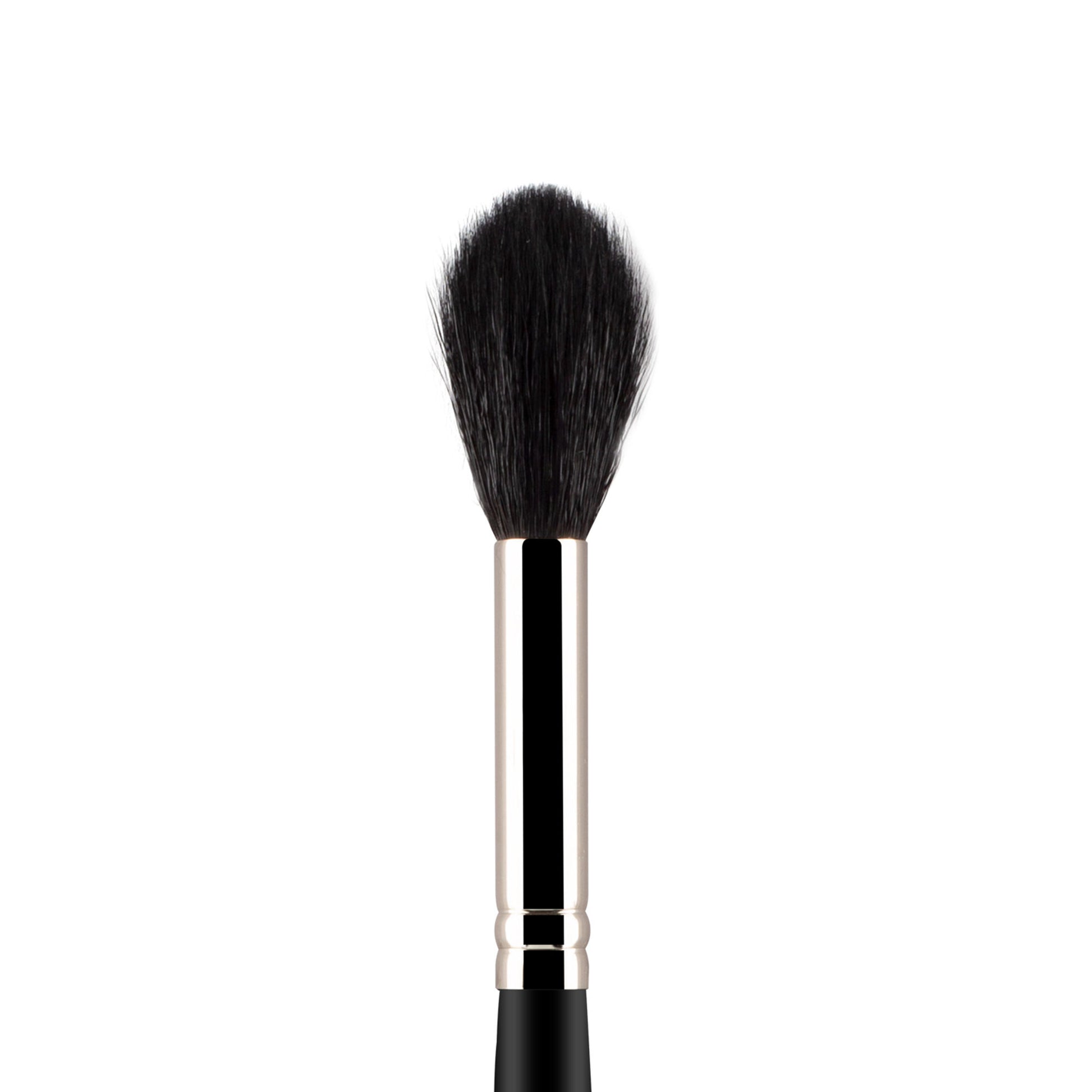 PAC Studio Highlighter Brush 154 - Distacart