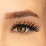 Thumbnail for PAC Studio Ace Of Lashes - Full House - Distacart