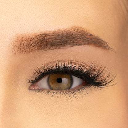PAC Studio Ace Of Lashes - All In - Distacart