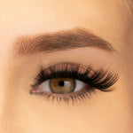 Thumbnail for PAC Studio Ace Of Lashes - Big Blind - Distacart