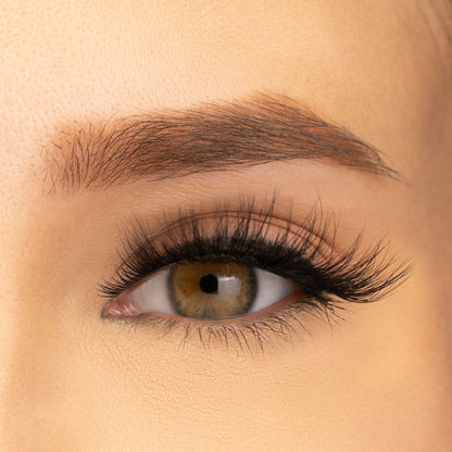 PAC Studio Ace Of Lashes - Dealer - Distacart