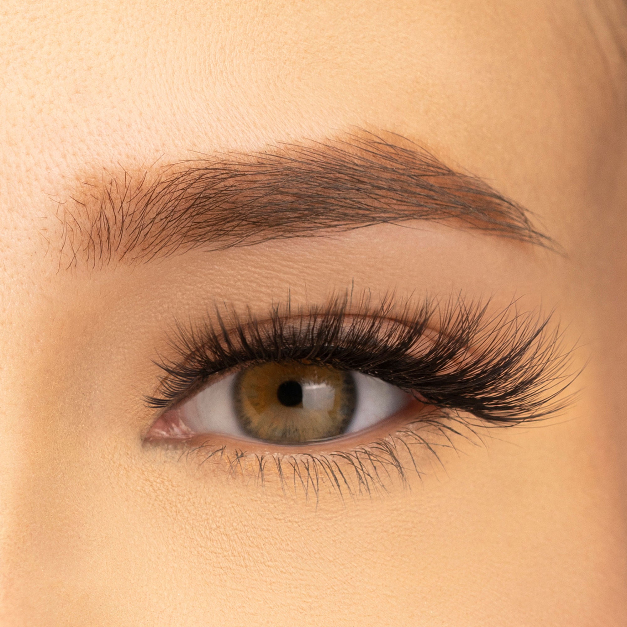 PAC Studio Ace Of Lashes - Quads - Distacart