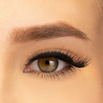 Thumbnail for PAC Studio Ace Of Lashes - Bluff Queen - Distacart