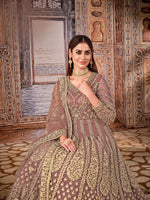 Thumbnail for Anaita Light Brown Embroidered Net Anarkali Suit - Distacart