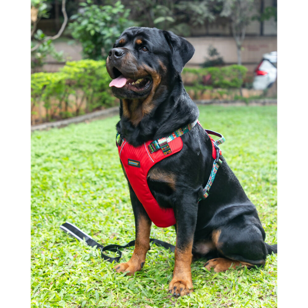 Waggety Adjustable Full Body Dog Harness - Comfortable Fit, Durable Polyester, Red - Dista