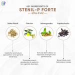 Thumbnail for Pathak Ayurvedic Pharmacy Stanil-P Forte Tablets - Distacart