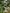 AAYNA- 50143 (1)
